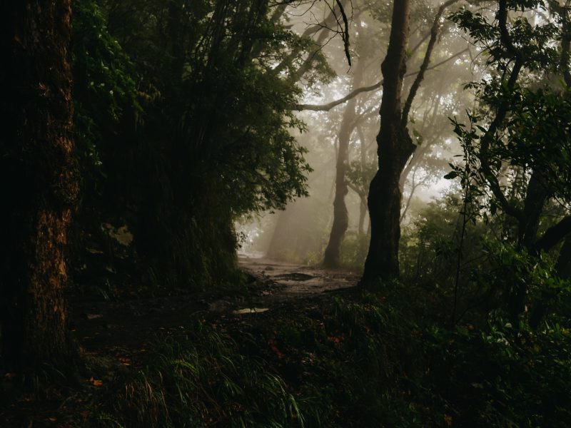 com.apple.Foundation.NSItemProvider.447cCX